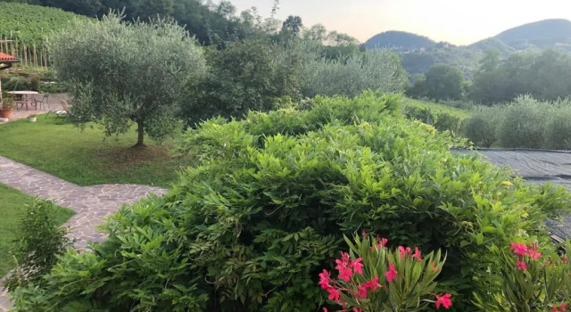 Коттедж Agriturismo Terre Bianche