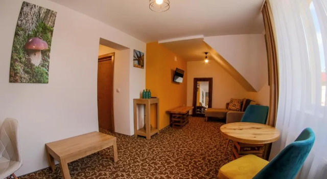 Апартаменты Superior Residence Rooms Bucovina