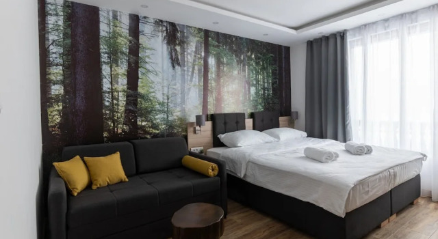 Люкс Standard SREBRNA PLANINA Spa & Resort