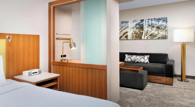 Люкс SpringHill Suites Potomac Mills Woodbridge