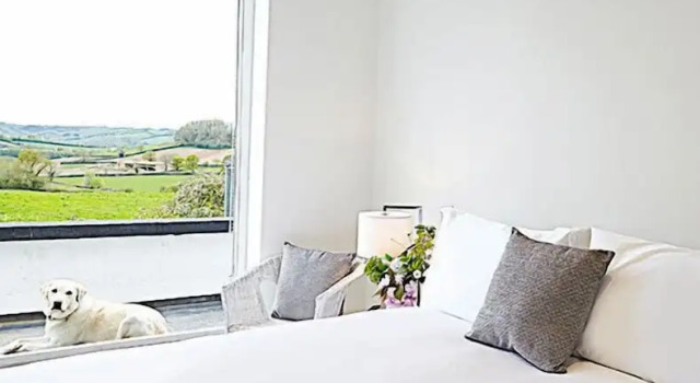 Номер Standard Live and Let Live Inn
