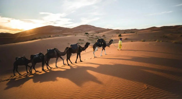 Tiziri Camp, Prenota Hotel Merzouga Al-Rashidiyya