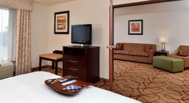 Люкс Hampton Inn Houston-Deer Park Ship Area