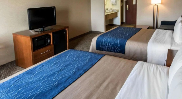 Люкс c 1 комнатой Comfort Inn Crystal Lake - Algonquin