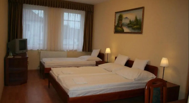 Трёхместный номер Standard Hotel Patonai