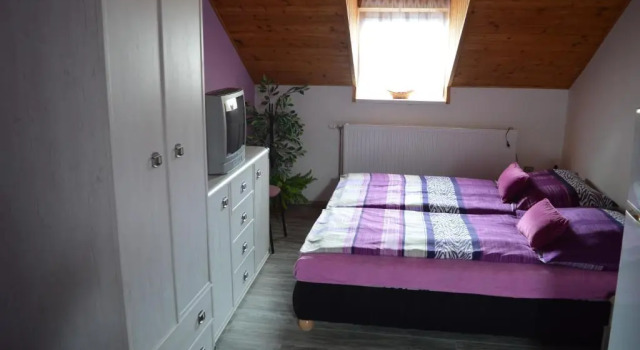 Четырёхместный номер Standard Guest House Haklův Mlýn