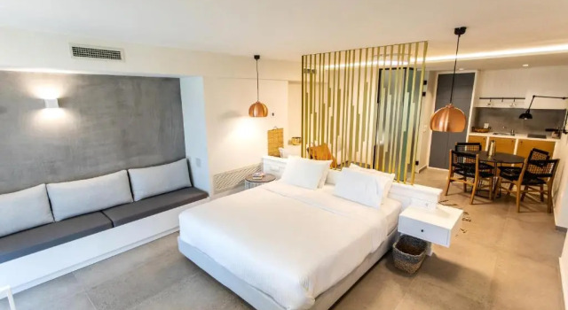 Двухместная студия Deluxe Anemolia Parga Suites