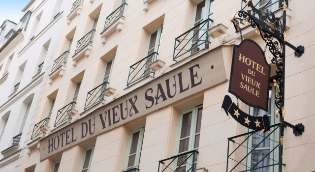 Hotel du Vieux Saule