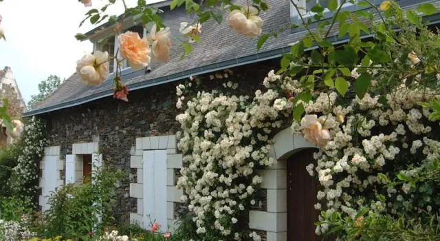 Chambres d'hôtes en Maine et Loire La Bidetterie, Rezerwuj Hotel  