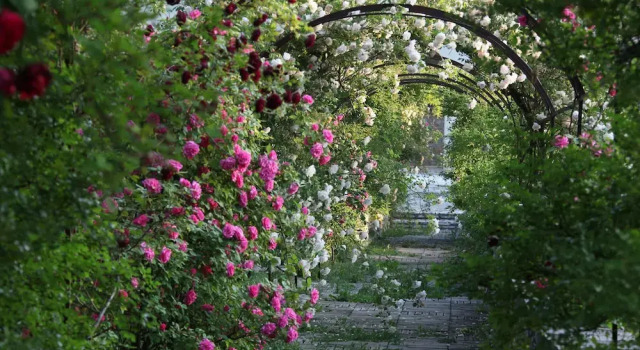 Коттедж с видом на парк Château de Potelières