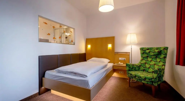 Одноместный номер Comfort Strandhotel Alte Donau