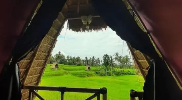 Вилла Swaha Retreat & Eco Park Ubud
