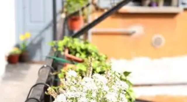 Lovelyloft Navigli - Gelsomino, Book Hotel Navigli Milan