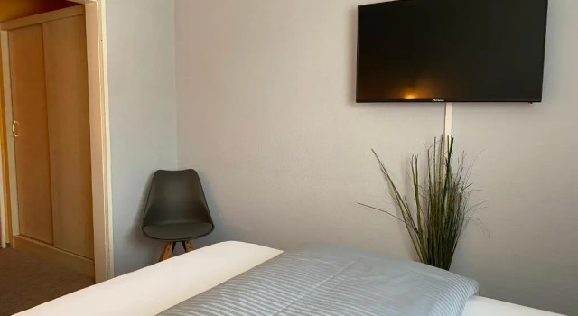 Двухместный номер Economy Weinhotel Römerbad
