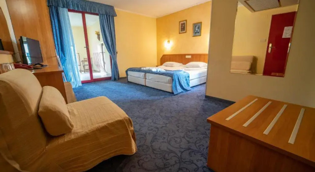 Двухместный номер Standard с видом на парк Saint George Hotel & Medical Spa