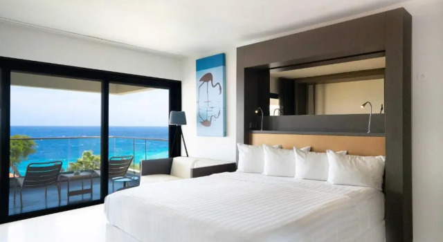 Двухместный номер oceanfront Papagayo Beach Hotel