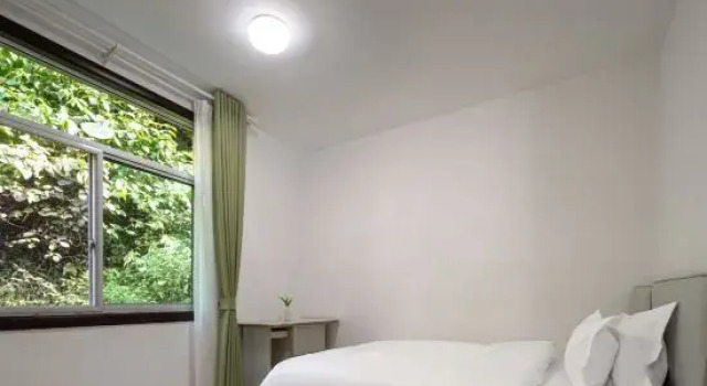 Люкс Yangjiatang Banshan Homestay