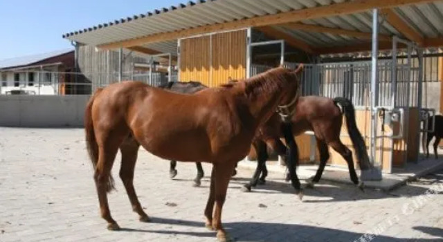 Reitanlage Hartsfeldhof, Réserver Hôtel Bopfingen Bade-Wurtemberg