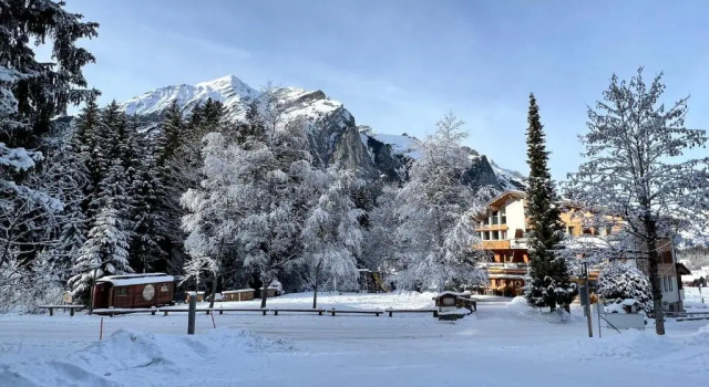 Номер Standard Typically Swiss Hotel Ermitage