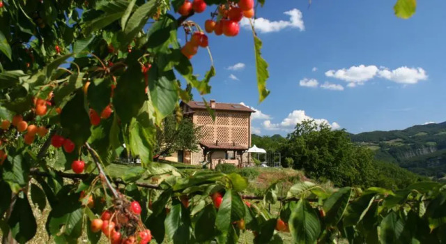B&B Al Merlo Angelico, Забронировать Отель «постель и завтрак» Варано де Мелегари Эмилия-Романья
