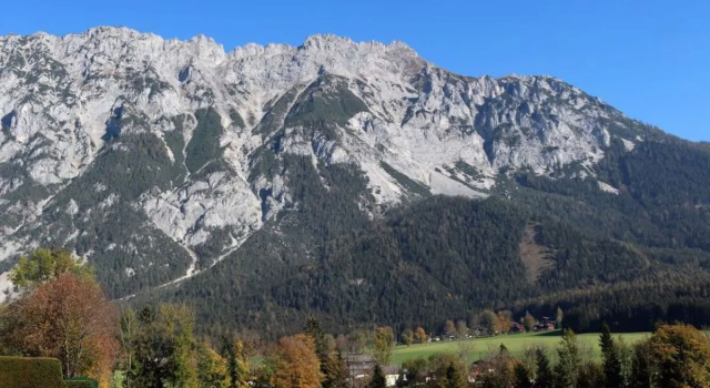 Reinbacher (GBM100)
