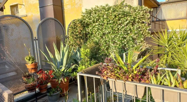 Апартаменты Il Terrazzo di San Colombano