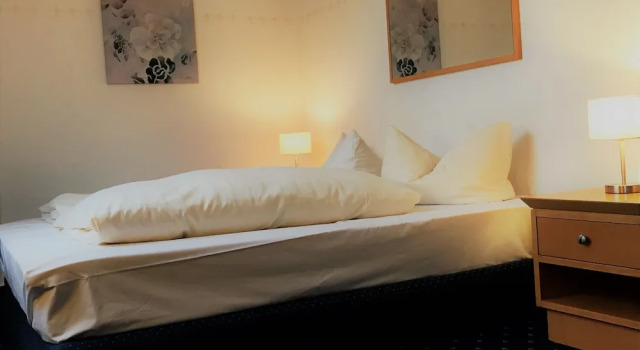 Двухместный номер Economy Hotel Senator