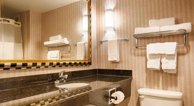Номер Standard Best Western Plus Castlerock Inn & Suites