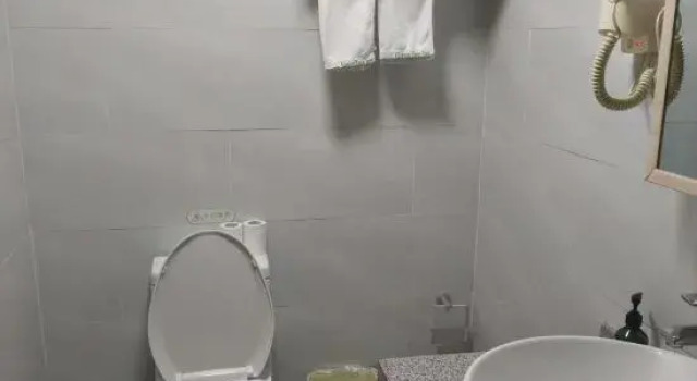 Люкс GreenTree Inn Bozhou Mengcheng District Red Star Macalline Business Hotel