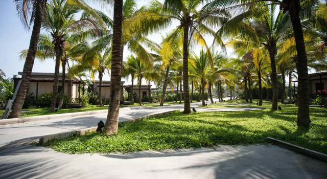 Люкс Dream Garden Resort
