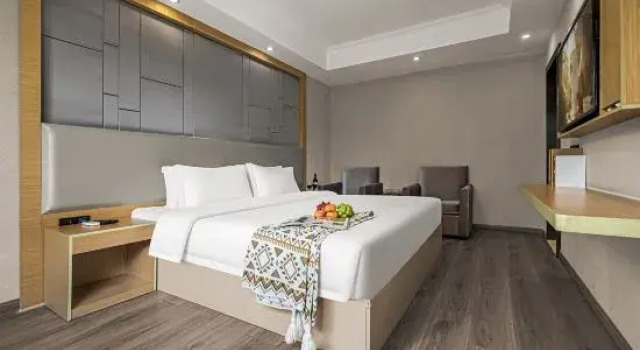 Люкс Business Borase Hotel