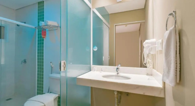 Двухместный номер Deluxe Araçatuba Plaza Hotel