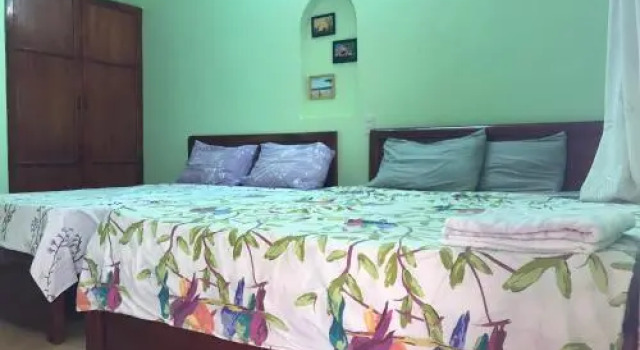 Papaya Guest House