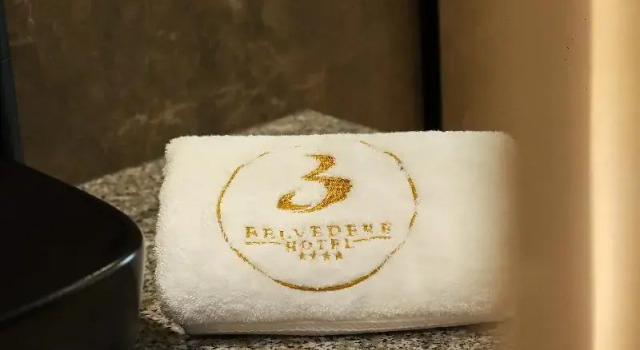 Двухместный номер Deluxe с балконом Belvedere Hotel