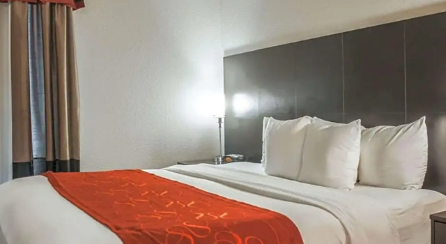 Номер Business Comfort Suites Nashville Airport - BNA