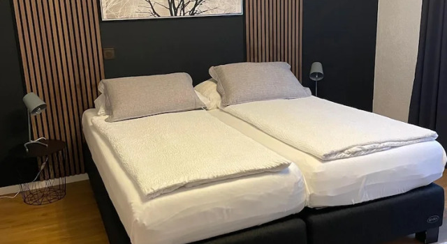 Двухместный номер Budget Hotel Europe Brig
