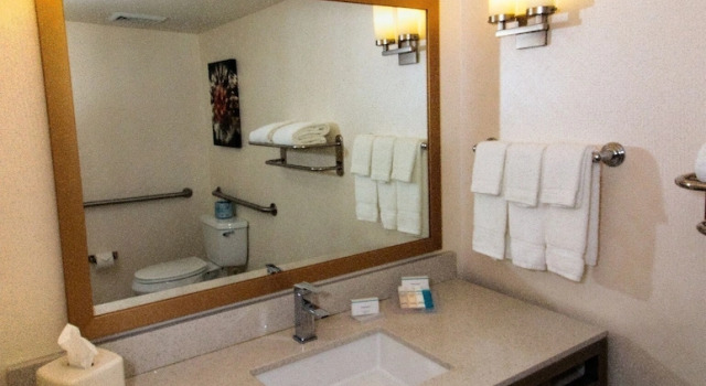 Люкс c 1 комнатой Hilton Garden Inn Dover
