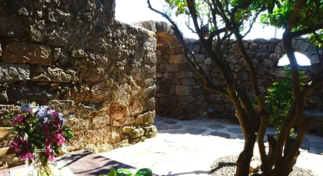Dammuso Giardino Arabo