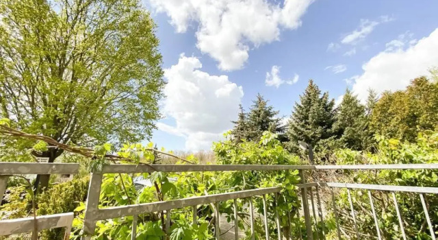 Apartment am Auensee mit großer Terrasse, Grill und Privat-Parkplatz