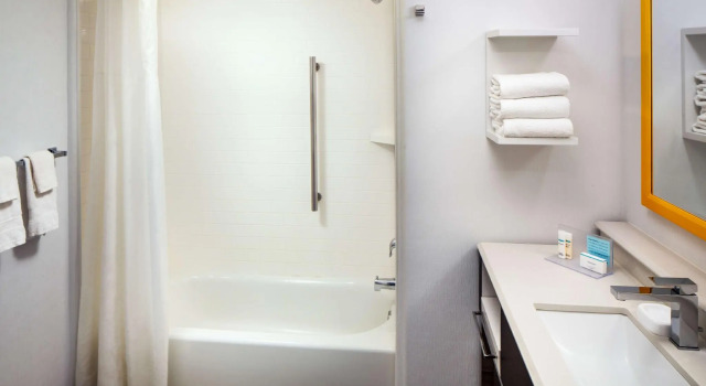Четырёхместный номер Standard Hampton Inn & Suites Parker