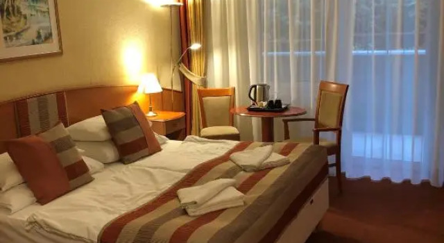 Двухместный номер Standard Цокольный этаж Hotel Spa Hévíz