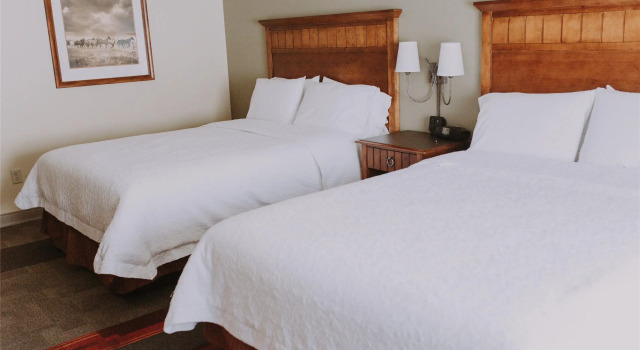 Номер Standard Hampton Inn & Suites Green River