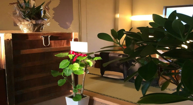 Sana Inn Town - Hostel