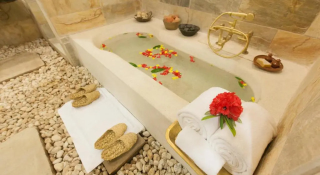 Люкс Executive Dwarikas Sanctuary - A Himalayan Wellness Retreat