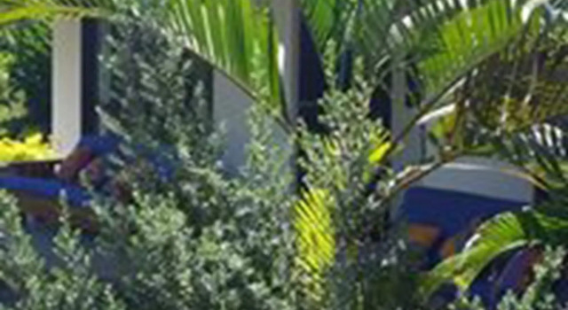 Los Susurros Casa, Book Hotel Hoteller i Chiapas med parkering, Parkering