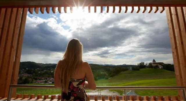Двухместный номер Prestige с панорамным видом LOISIUM Wine & Spa Hotel Südsteiermark