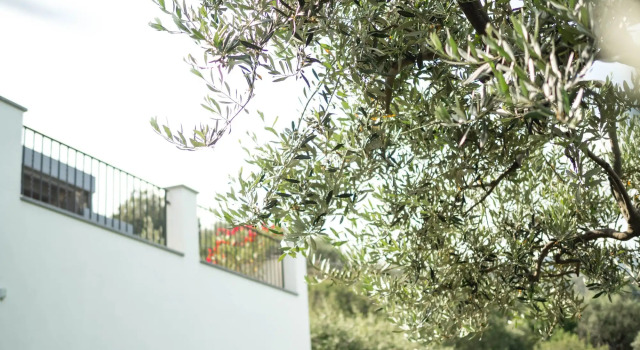 Casa Clementina - Marciano