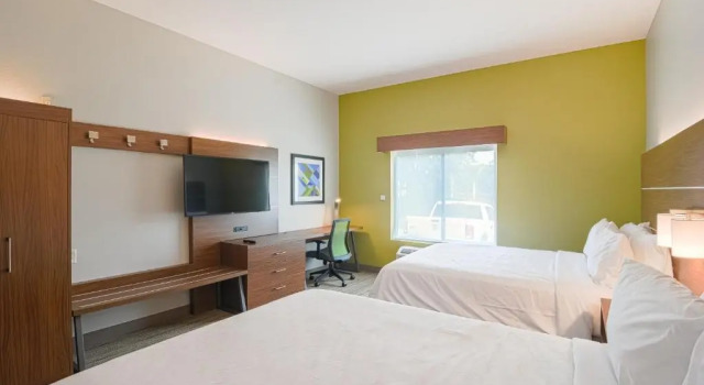 Двухместный номер Standard Holiday Inn Express Hotel & Suites Tampa-USF-Busch Gardens by IHG