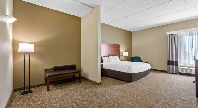Двухместный номер Standard Comfort Inn & Suites Panama City North