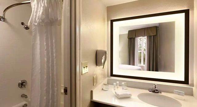 Люкс c 1 комнатой Homewood Suites by Hilton Atlanta-Alpharetta